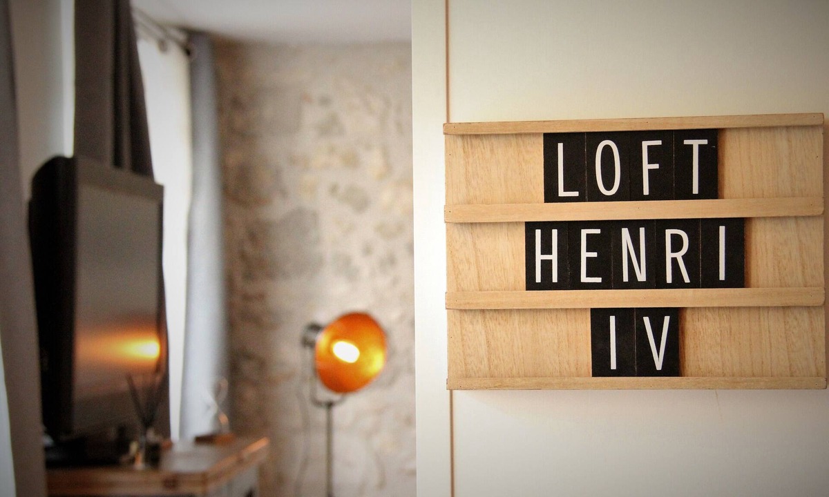 Nerac Apartment | Le loft Henri Iv - Magnificent apartment facing the Château Henri IV