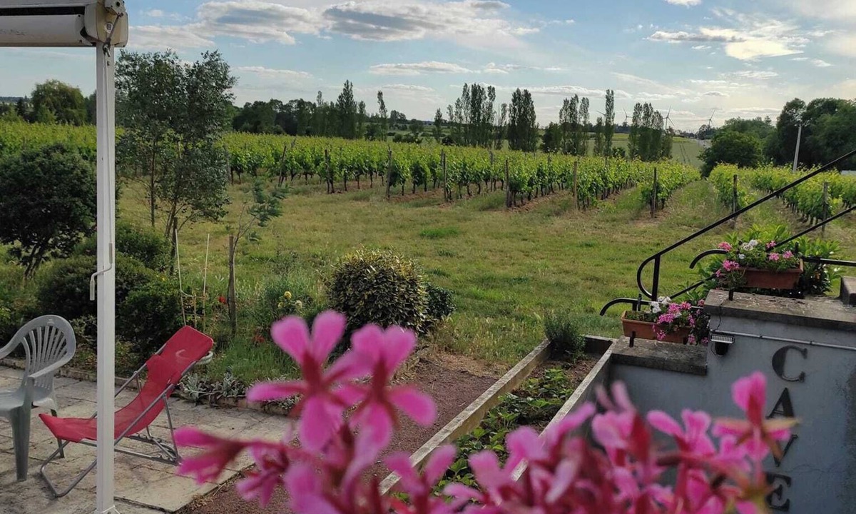 Doue-en-Anjou House | Le Logis du Livier