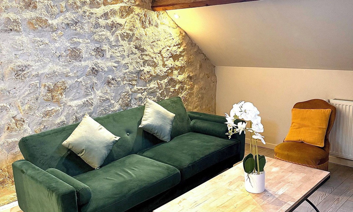 Old Town Apartment | Le maréchal Deluxe T2 Tours centre-Nationale- Vieux tours