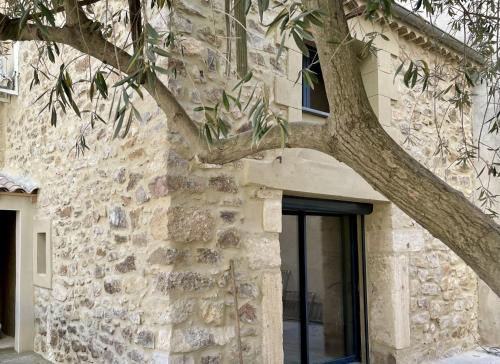 Quarante House | Le Mas de l'eau - Piscine Privative