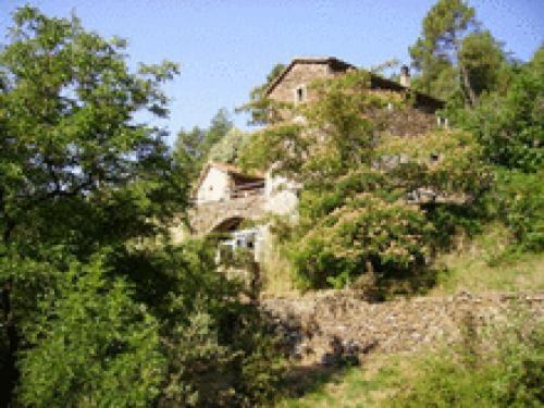 Chambon Apartment | Le mas des sources cévenol