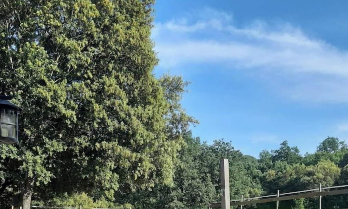 Saint-Andre-d'Olerargues Apartment | LE MAZET D'EMILIE