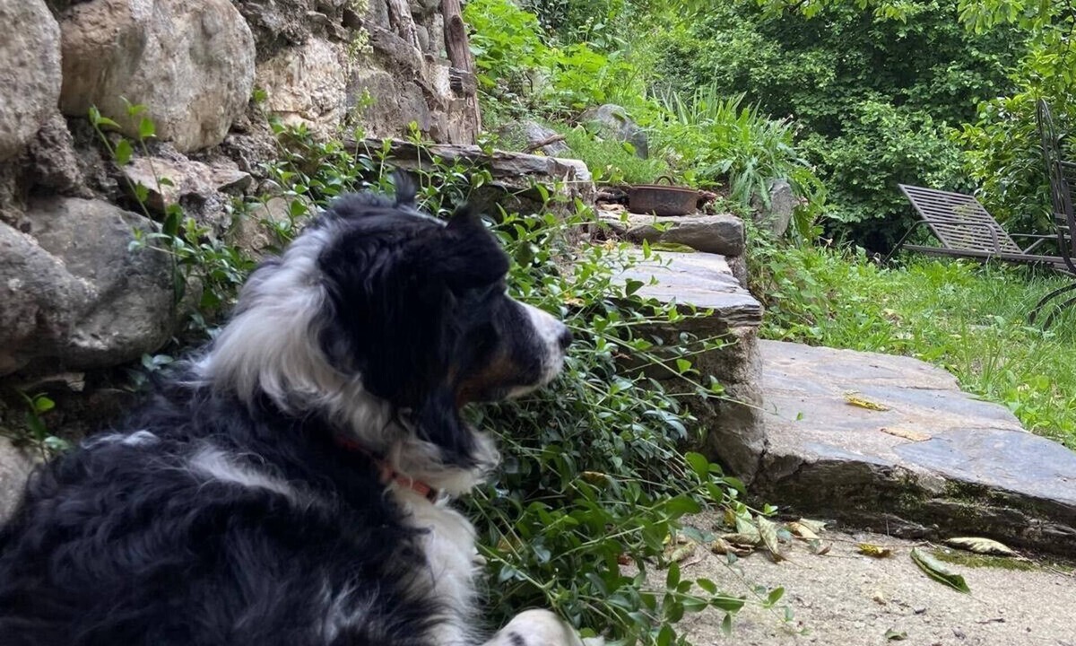 Valleraugue House | Le Mazet du Ron des Perles