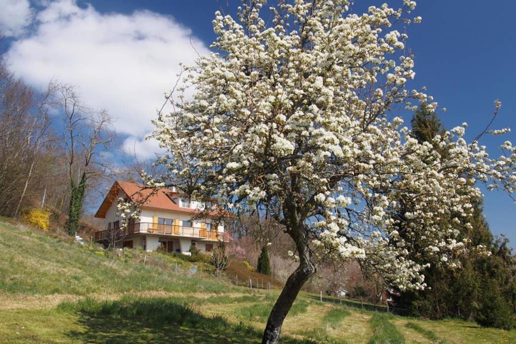 Paladru Apartment | Le Merle Enchanteur