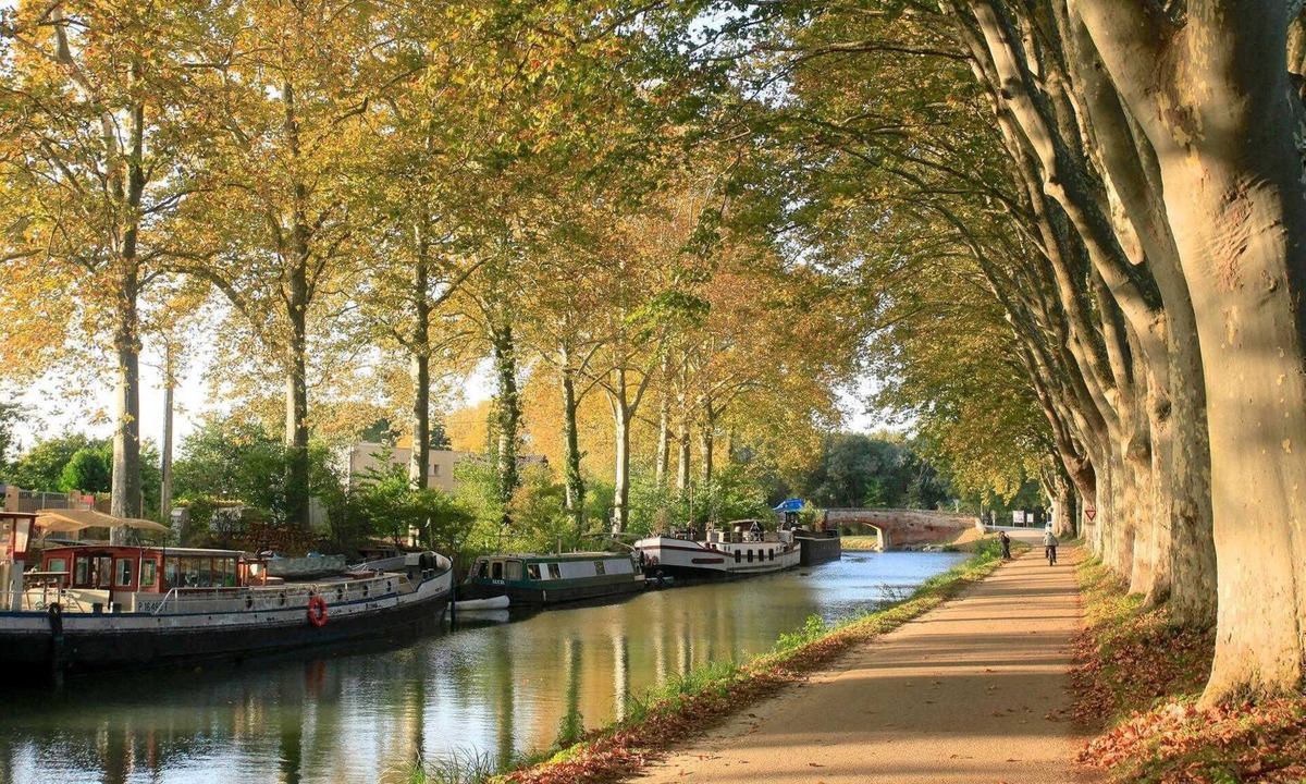 Marengo - Jolimont Apartment | Le Meublé de Boubée - Toulouse