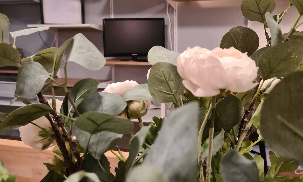 Entraygues-sur-Truyere Apartment | Le Mimizzz