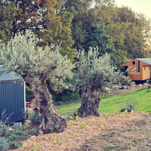 Saint-Germain-des-Champs Other | Le monde d'Echozellia