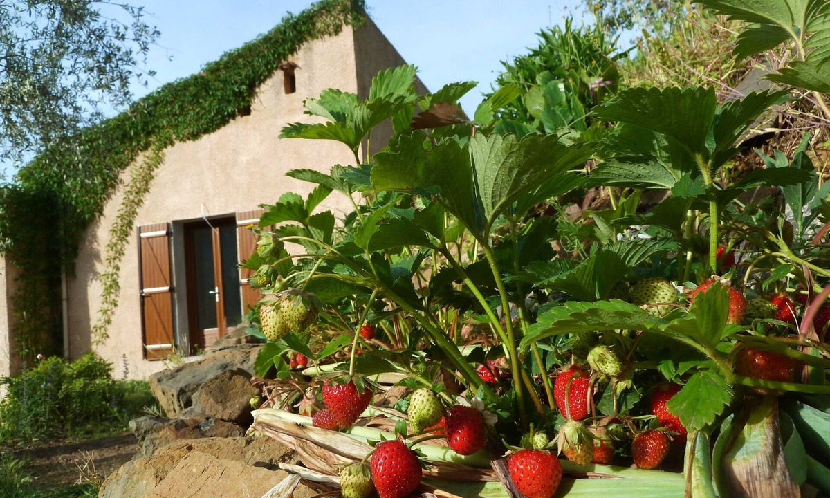Utelle Cabin | Le Mont D'olivine