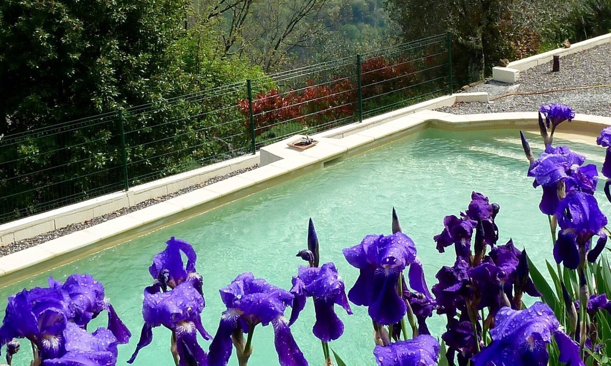Utelle Cabin | Le Mont D'olivine