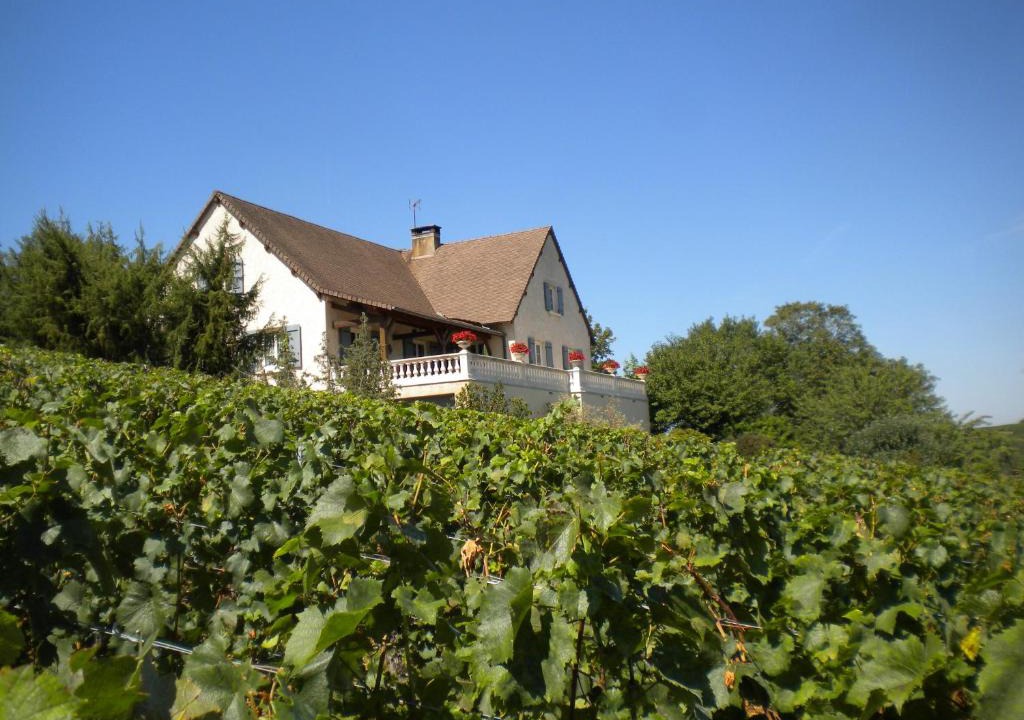 Buxy House | Le Mont Laurent