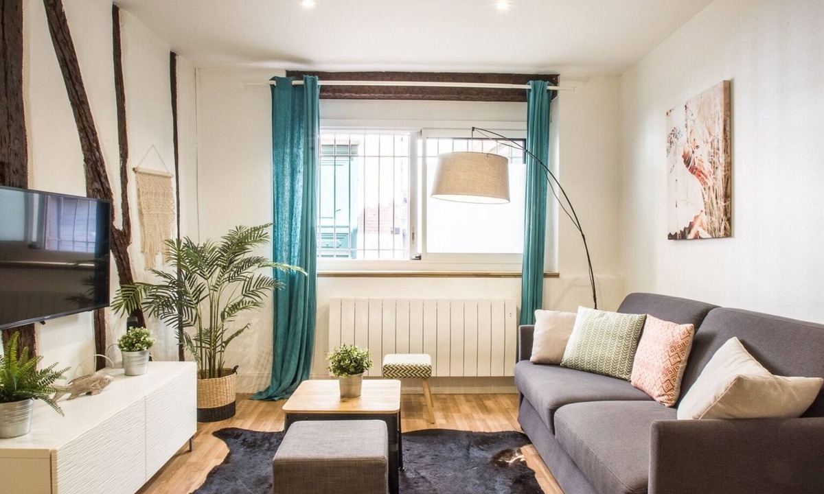 Saint-Etienne Apartment | Le Montoulieu - proche Place des Carmes