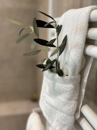 Blausasc Hotel | le moulin de l oliveraie