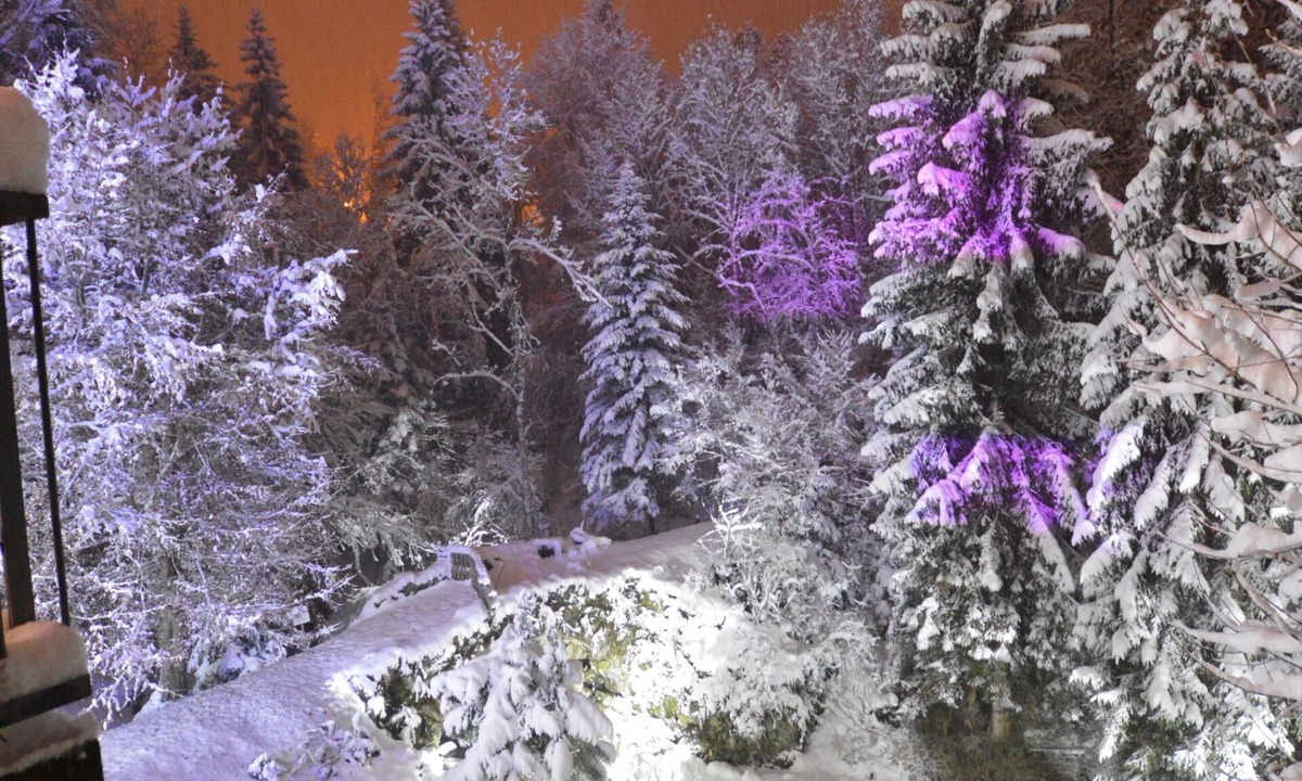 Sallanches Ski Chalet | Le Moulin des Olirics