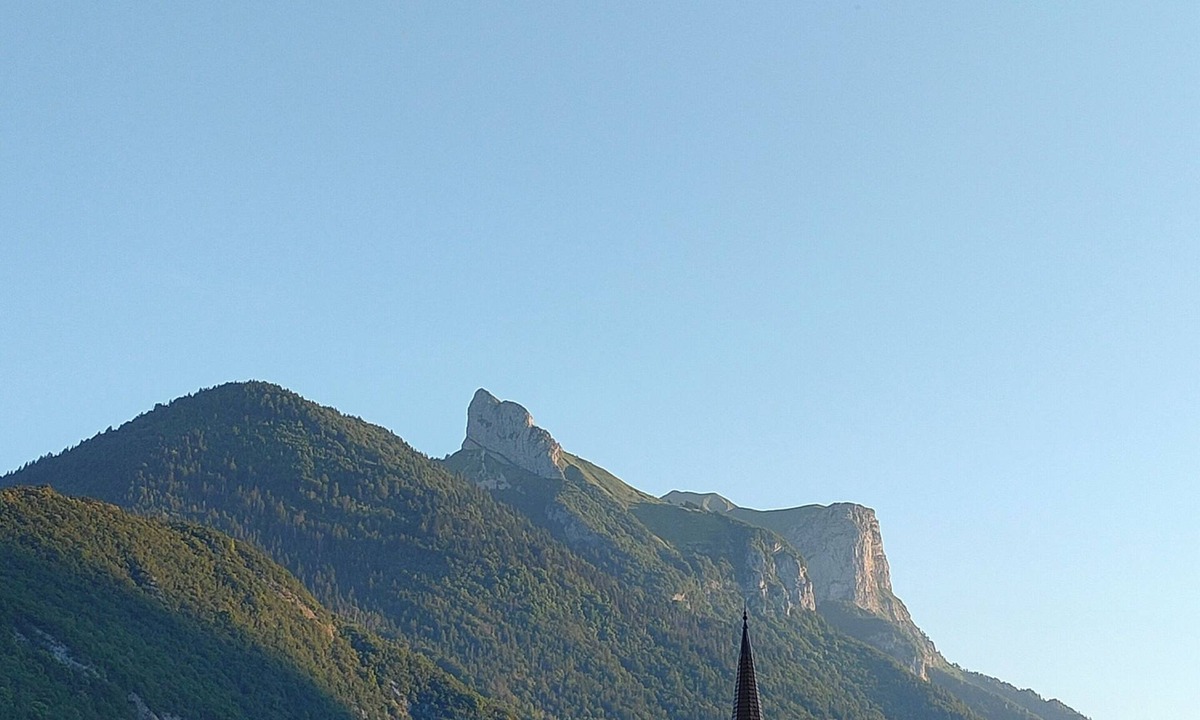 Faverges-Seythenex Condo | LE NID SAVOYARD