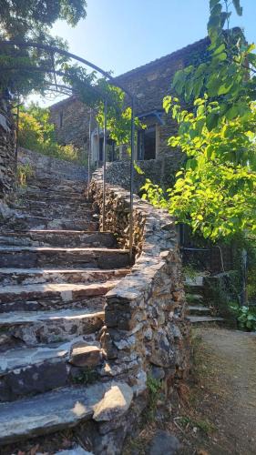 Valleraugue House | Le Paillot Cevenole house with view and fireplace