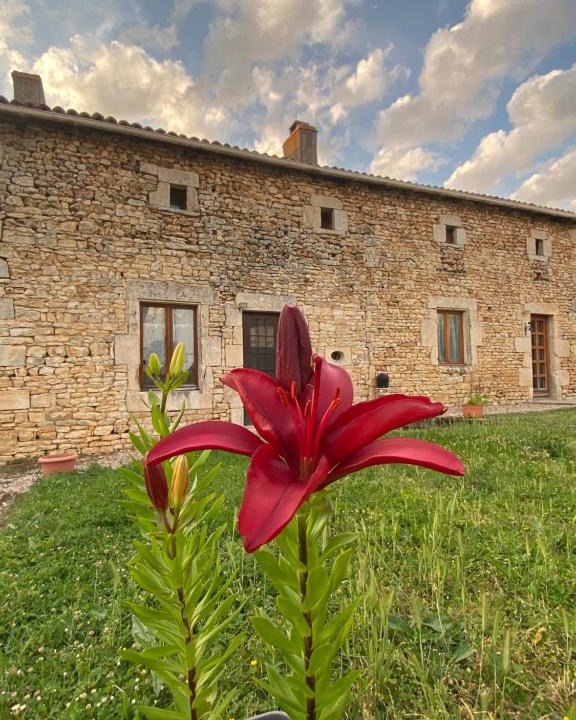 Savigne House | Le Papillon