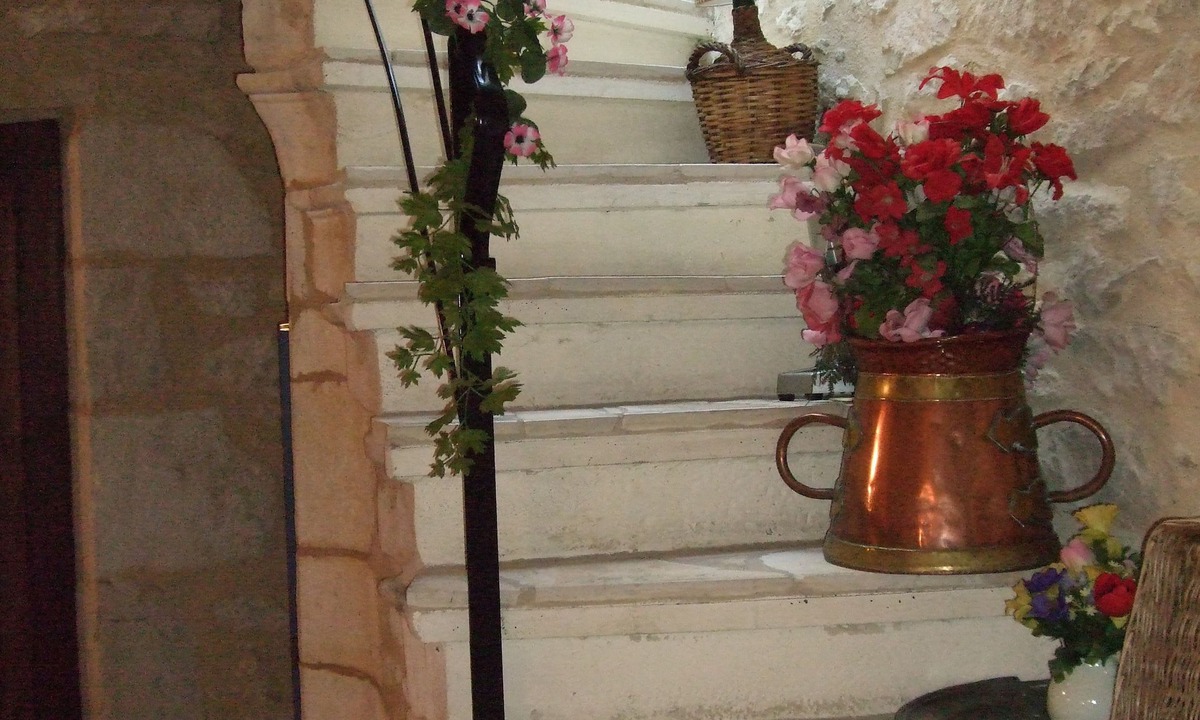 Quartier Saint-Martin Hotel | Le Patio De La Dordogne