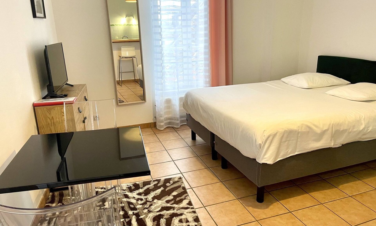 Auxerre Apartment | Le Paul Bert-Apartment-Apartment-Ensuite with Shower-City view