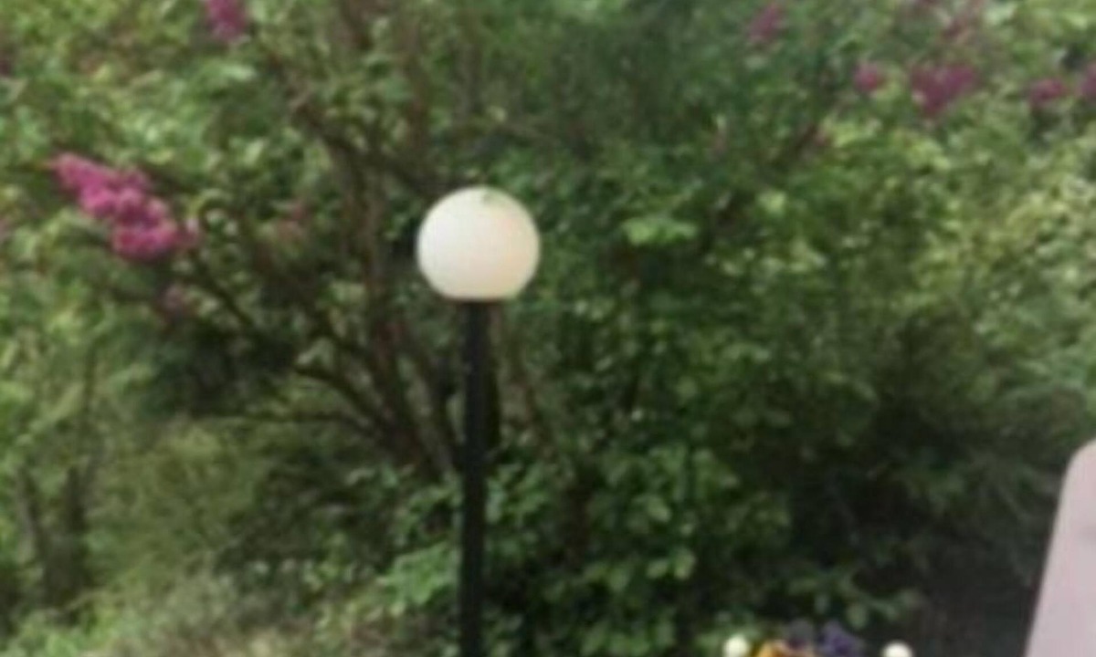 Syens Apartment | Le Petit Brit