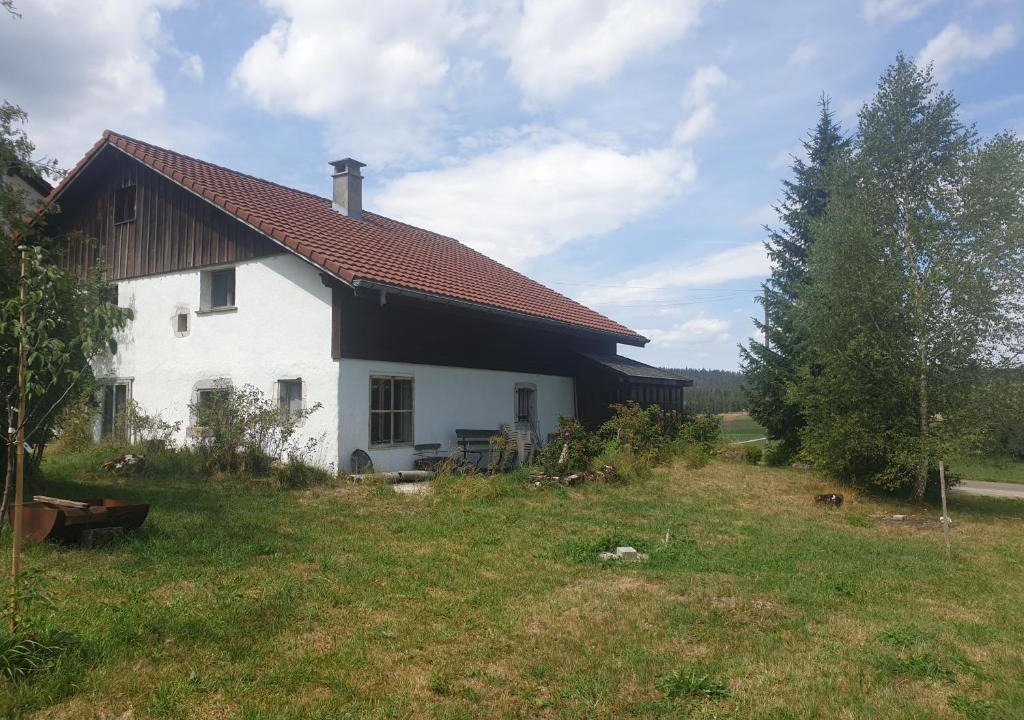 La Brevine Apartment | Le Petit Brouillet du bas