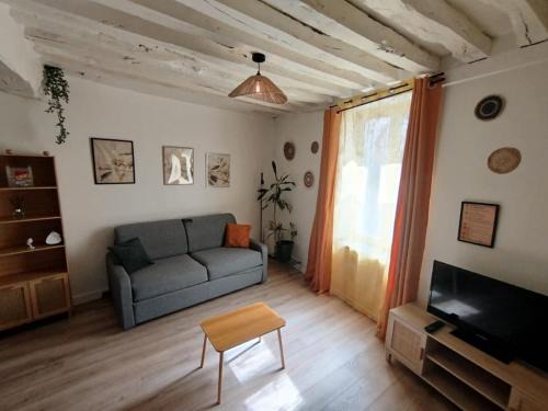 Bourgogne Apartment | Le Petit Cocon d'Orléans