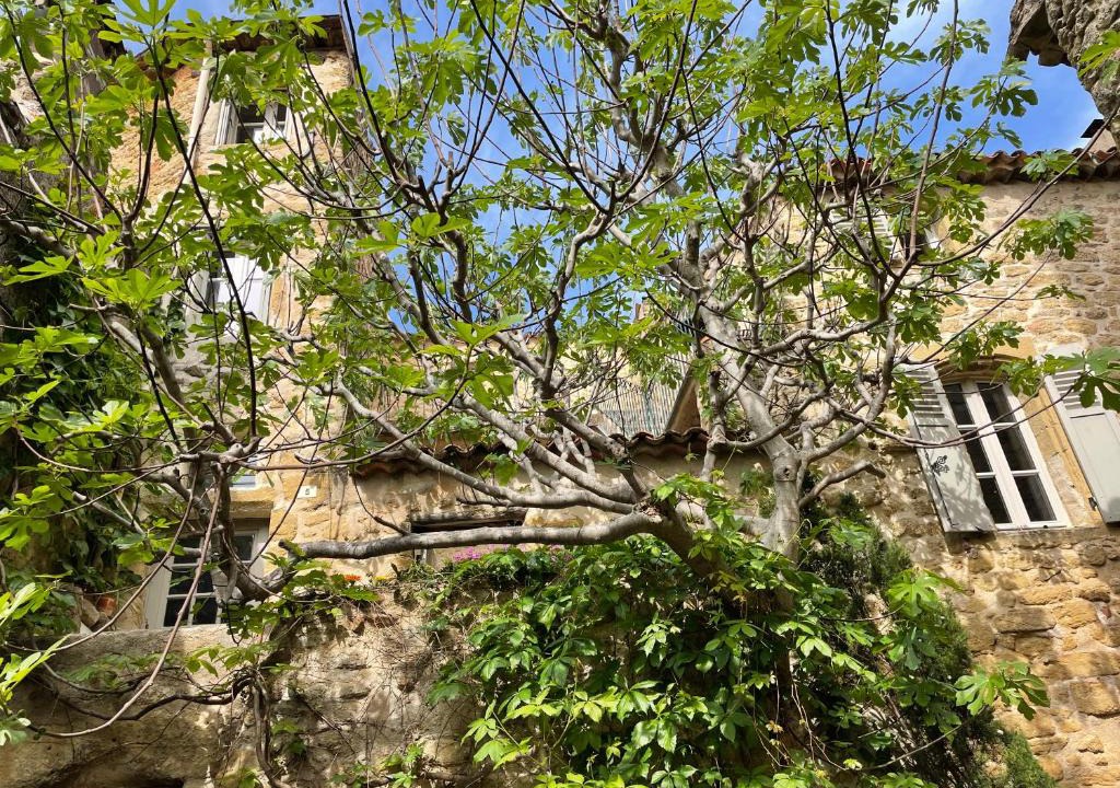 Lauris House | Le Petit Egregore, patio et climatisation