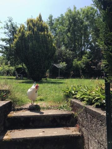 Lesterps House | Le Petit Nid