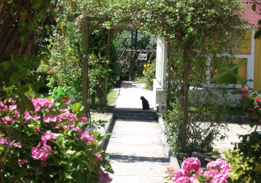 Martin-Eglise House | le petit robinson