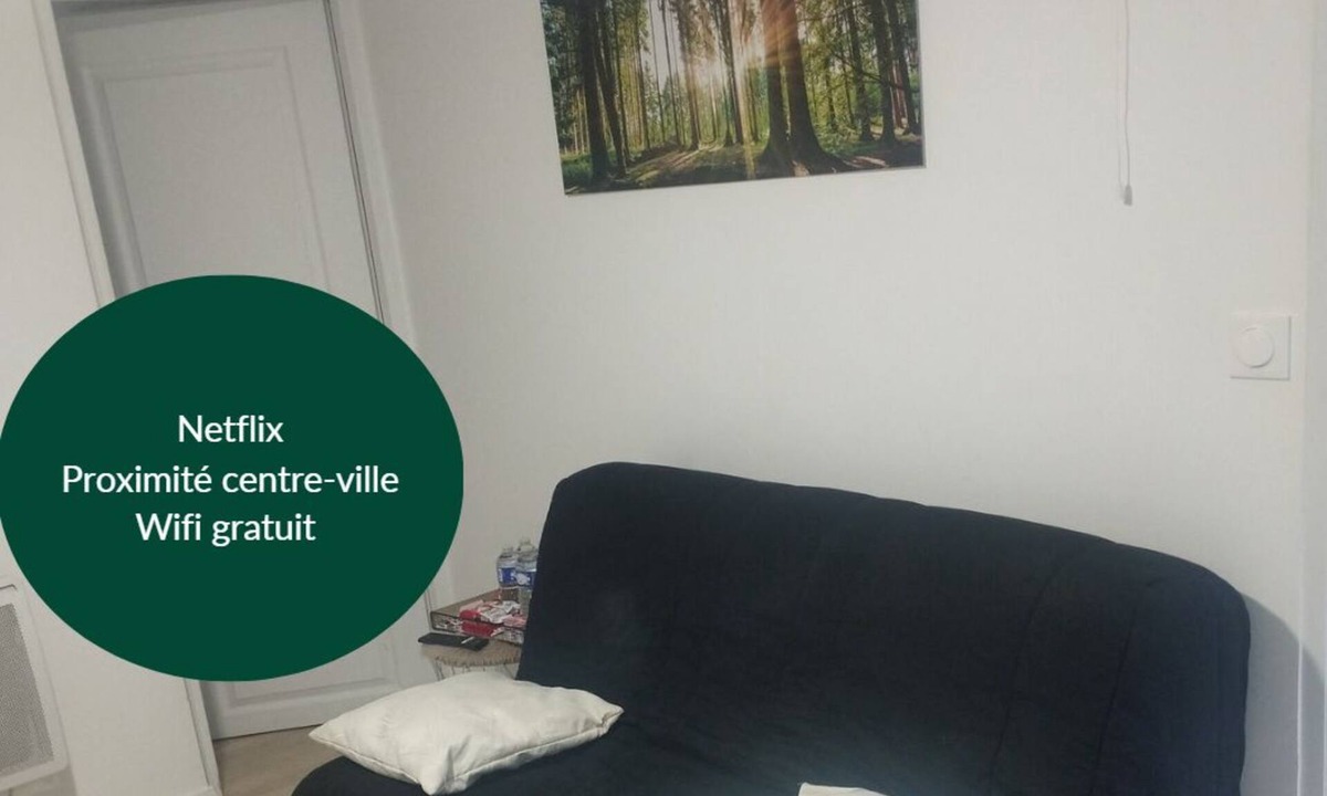 Quartier du Plateau Apartment | Le Petit Viry, à 20min D'orly