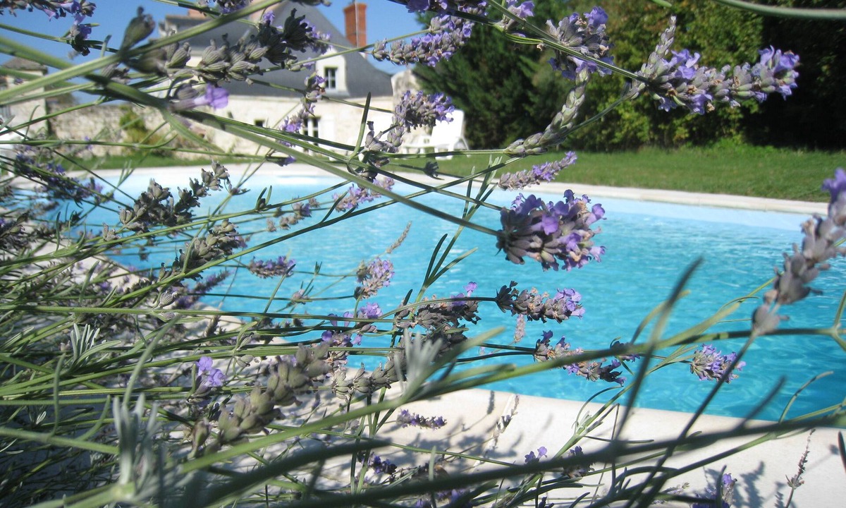 Brigne Cottage | Le PetitPavillon in the Loire Valley