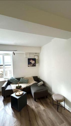 Montbrison Apartment | Le plein centre
