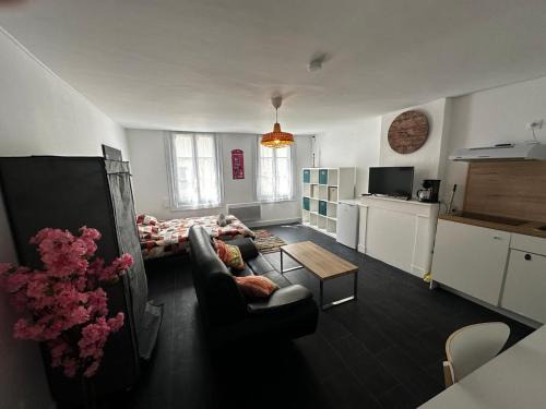 Centre Ville Apartment | Le Printemps des Fleurs - centre ville - wifi