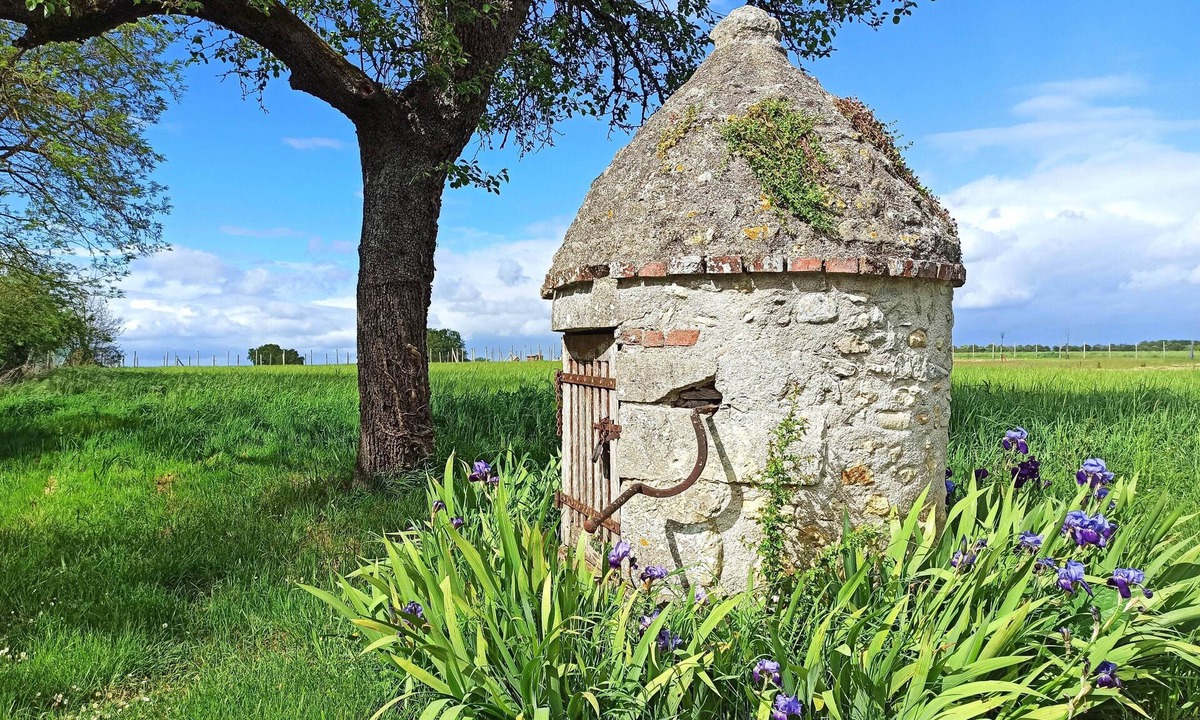 Orbigny House | Le puits du Bréneau