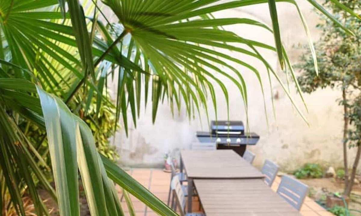 Ornaisons House | Le Ramonetage - big holiday home with Patio in the south of France