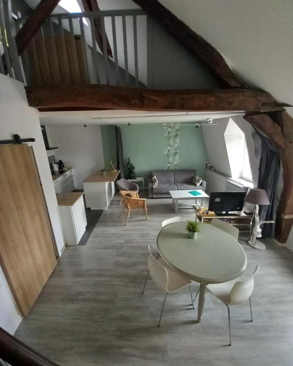Amboise Apartment | Le regard de Mona Lisa 2 étoiles 100m du château