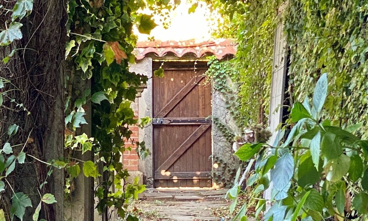 Albi House | Le Rez de Jardin Albi