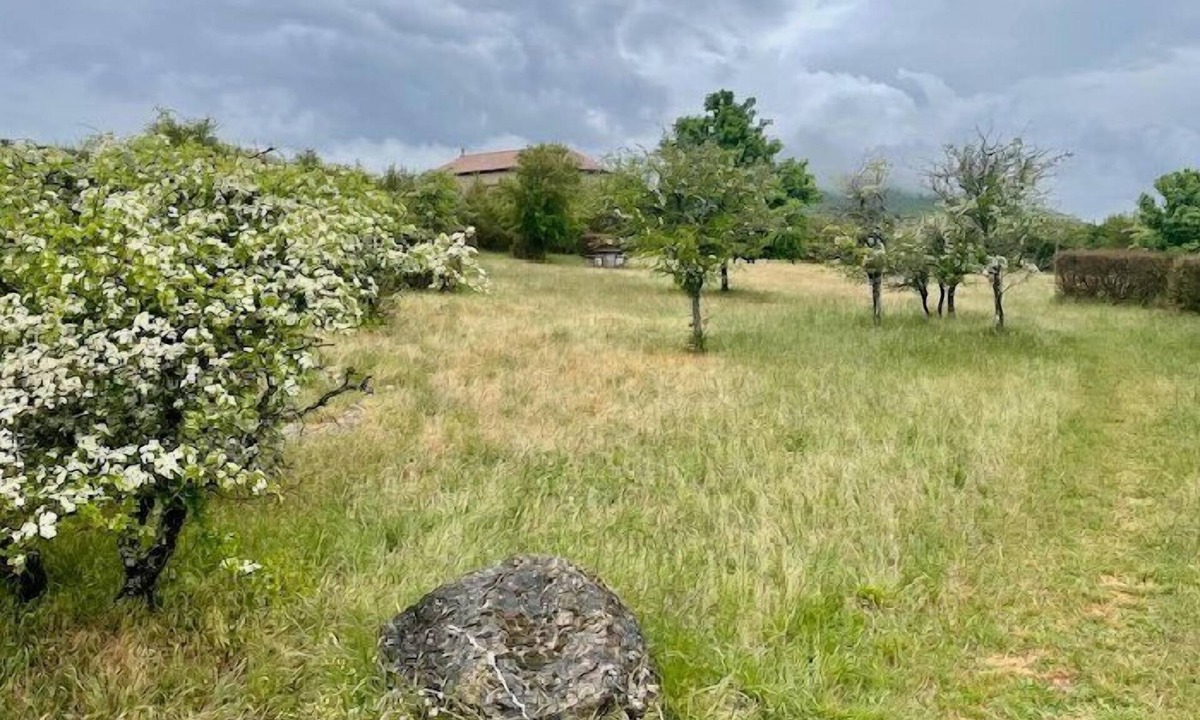 Le Caylar House | Le Rockastel