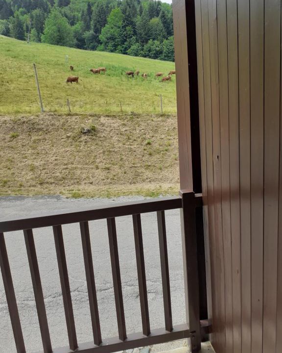 Aillon-le-Jerune Apartment | Le rossane