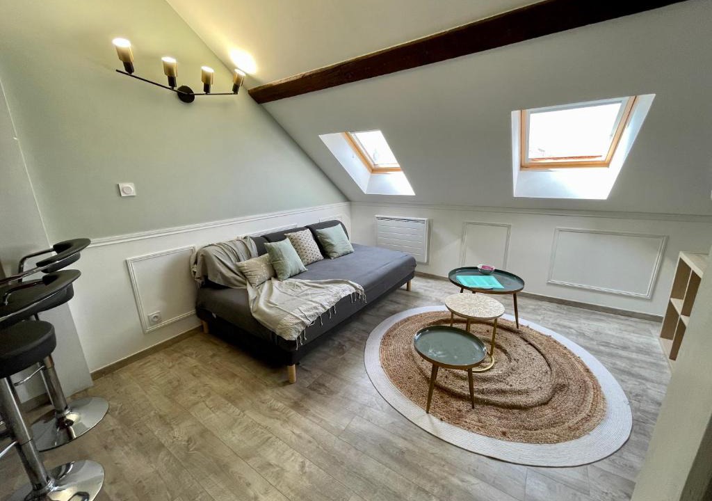 Faubourg North Apartment | Le Salmanazar