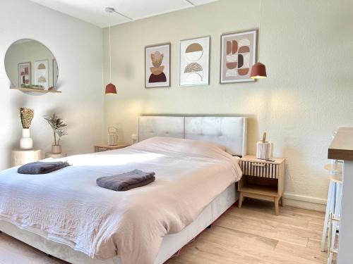 Chasseneuil-du-Poitou Apartment | Le Scandinave Jolie Studio aux portes du Futuroscope