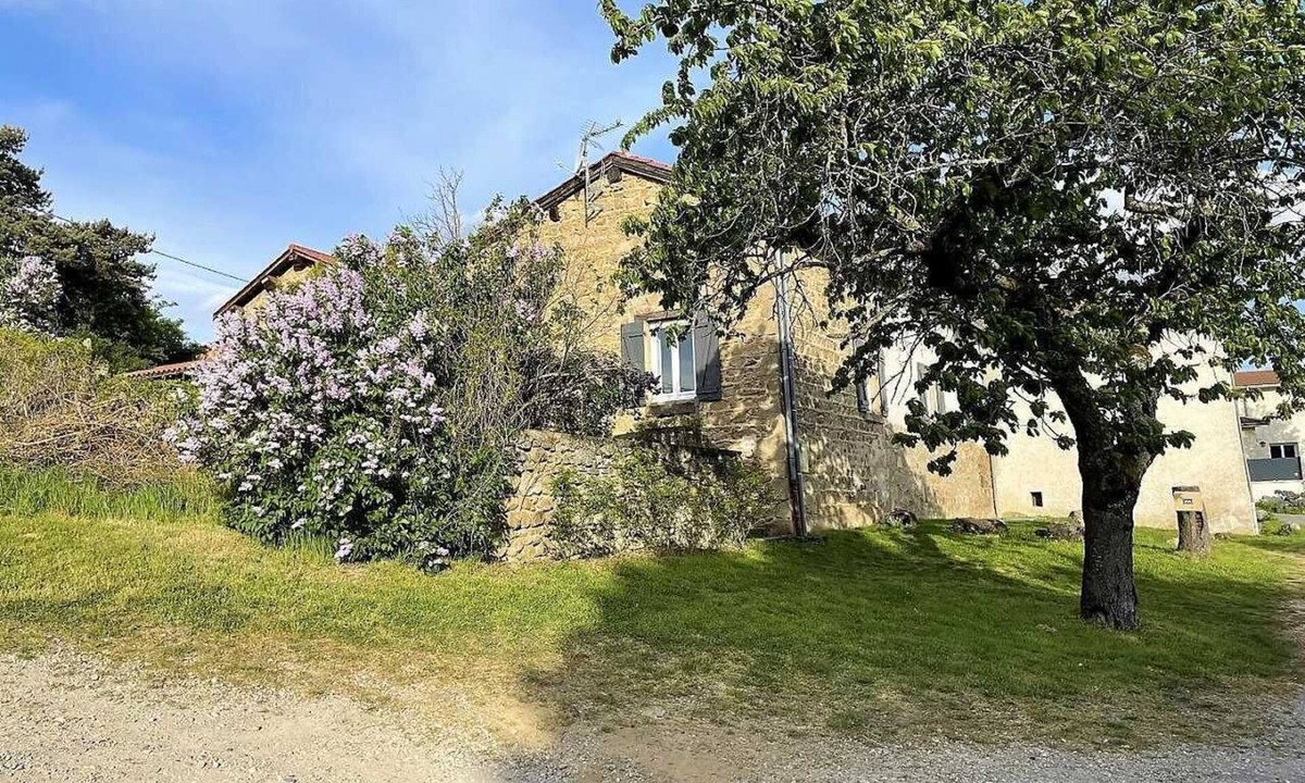 Thurins House | Le Soly - THURINS - Gîte