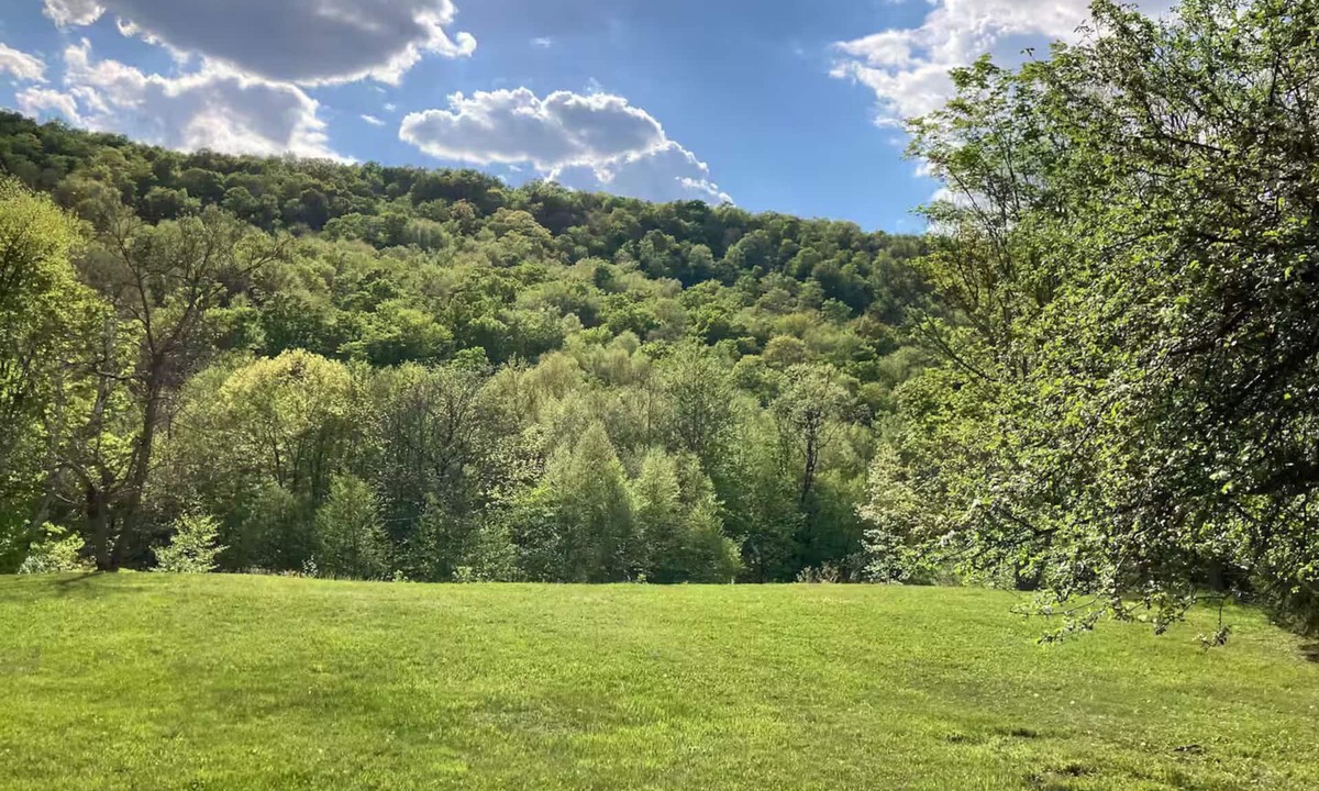 Lanesville Cottage | Le Spot - Niche on the Notch