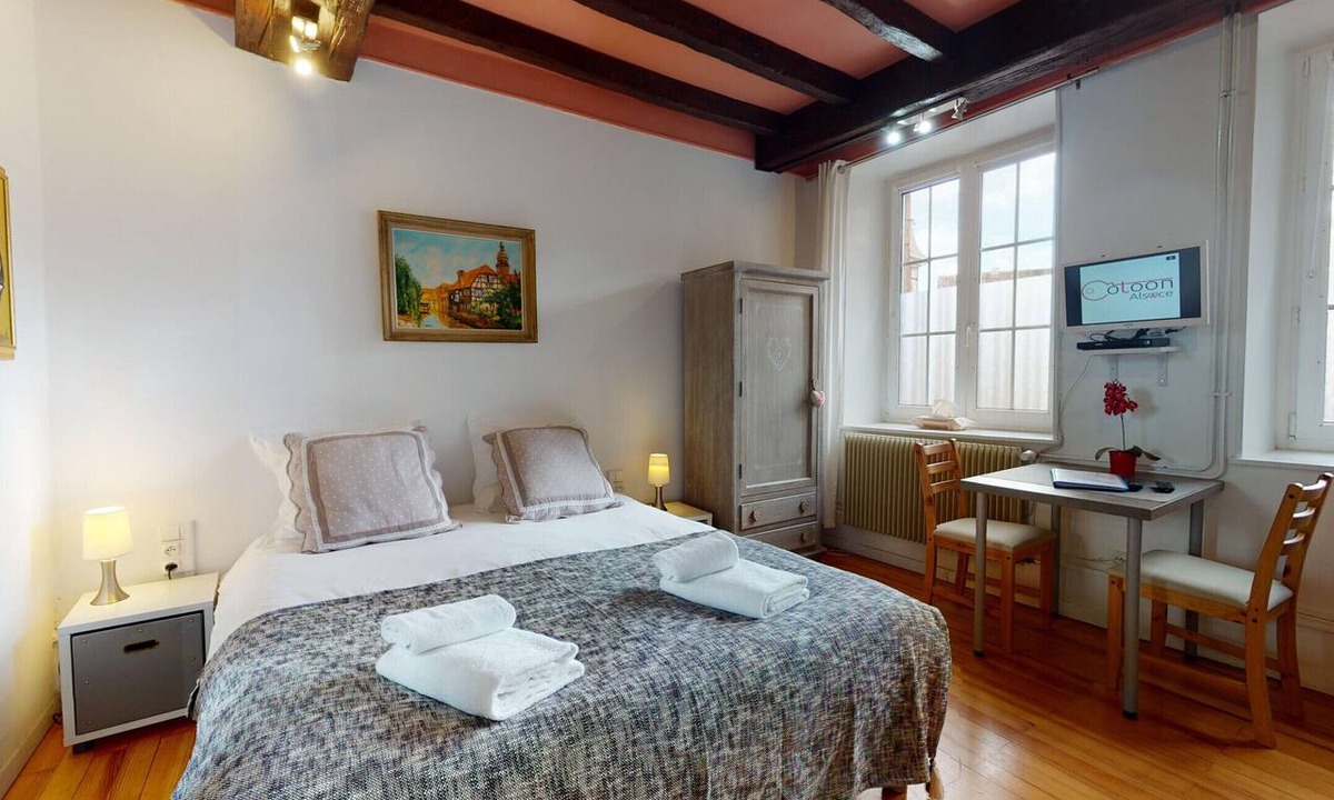 Colmar Centre Ville Apartment | Le studio bartholdi with access to lounge