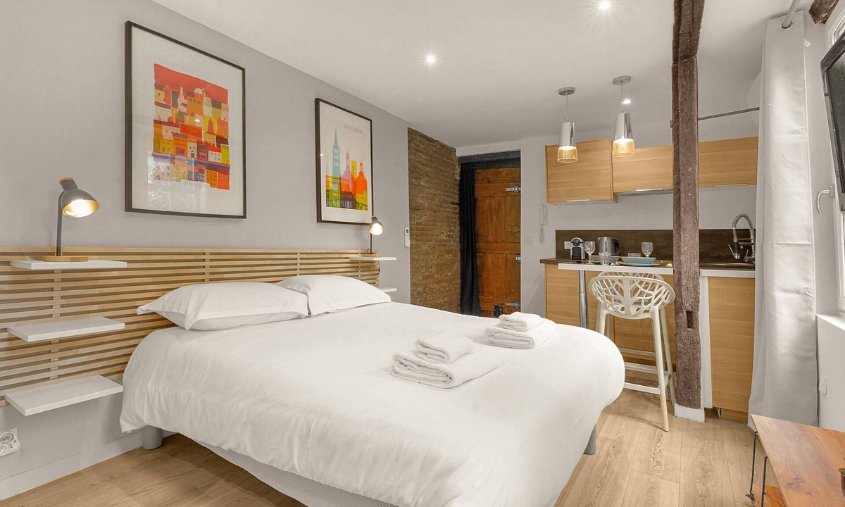 Saint-Etienne Apartment | Le Studio des Antiquaires - Studio climatisé à Toulouse