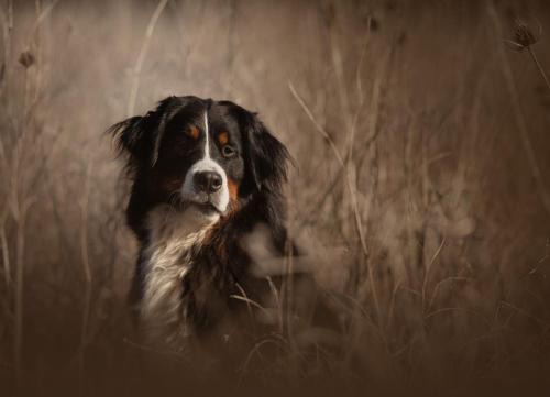Baron Apartment | Le temps de vivre