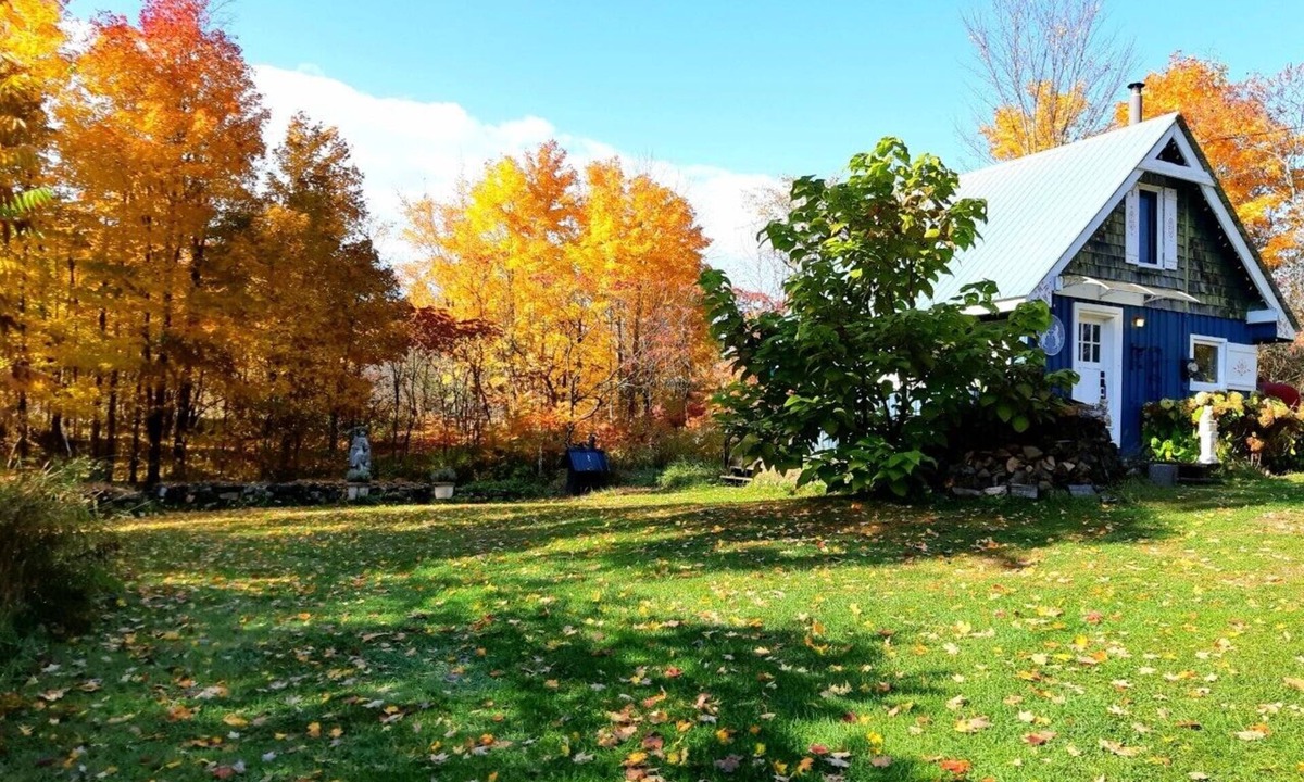 Tay Valley Cabin | Le Temps Perdu: 88 Acre Wilderness Park between Historic Westport and Perth