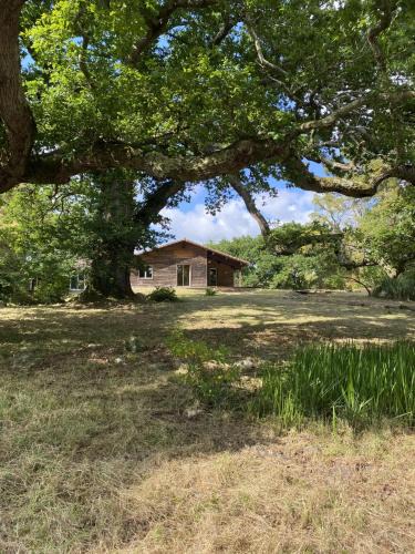 Messanges Hostel | Le Tuc Lodge