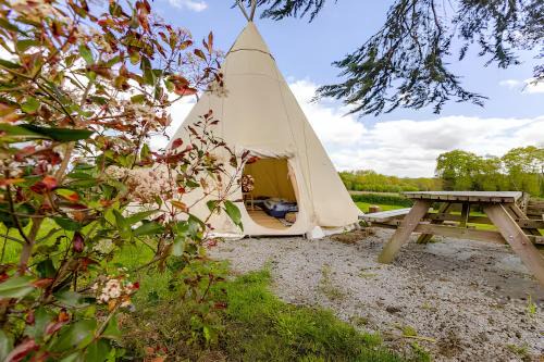 Maure-de-Bretagne Other | Le Val Insolite