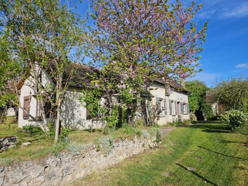 Thesee House | Le vallon des vignes