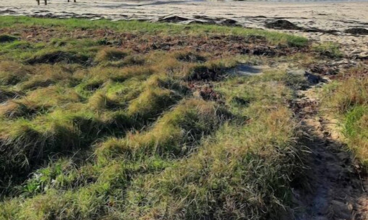 Pornic House | Le Vent D'ouest - Un Cocon de Calme au Vert